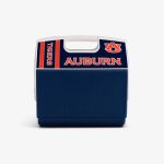 Auburn University? Playmate Elite 16 Qt Cooler