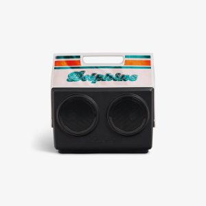 Miami Dolphins KoolTunes?