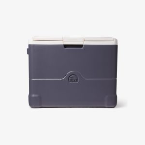 Iceless Portable Electric 40 Qt Cooler